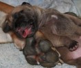 /album/nest-a/a178913-485623308120977-10610148-n-jpg/