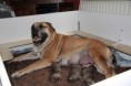 /album/nest-a/a303336-485623918120916-129701028-n-jpg/