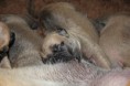 /album/nest-a/a551640-485623394787635-448100969-n-jpg/