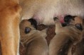 /album/nest-a/a554604-485623484787626-1229945813-n-jpg/