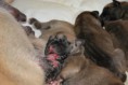 /album/nest-a/a601320-484438818239426-808689765-n-jpg/