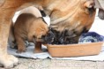 /album/nest-a/a295382-497997406883567-800205415-n-jpg/