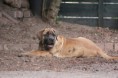 /album/nest-a/a304711-514746631875311-1687897564-n-jpg/
