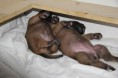 /album/nest-a/a482973-492206877462620-921982708-n-jpg/