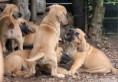 /album/nest-a/a486635-509346269082014-99482838-n-jpg/