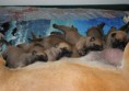 /album/nest-a/a533405-487943081222333-1163615692-n-jpg/