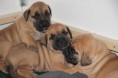 /album/nest-a/a539586-496744063675568-830869343-n-jpg/