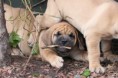 /album/nest-a/a553646-509019562448018-1554230217-n-jpg/