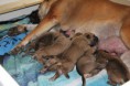 /album/nest-a/a562109-487943347888973-1224760289-n-jpg/