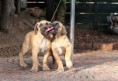 /album/nest-a/a578903-509018759114765-235476519-n-jpg/