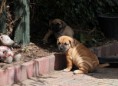 /album/nest-a/a599954-502821369734504-1063233102-n-jpg/