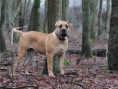 /album/anka/a67857-570391666310807-326628487-n-jpg/