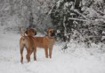/album/anka/a59344-566105200072787-1227395998-n-jpg/