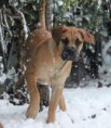 /album/anka/a577877-565638326786141-1123560087-n-jpg/