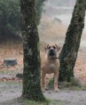 /album/anka/a248890-556670691016238-1305604655-n-jpg/