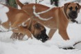 /album/anka/a382131-566107263405914-512374451-n-jpg/