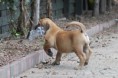 /album/anka/a185963-510251765658131-2031339788-n-jpg/