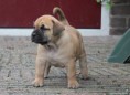 /album/anka/a532108-501580566525251-766138848-n-jpg/