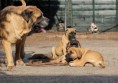/album/nest-a/a206190-516050591744915-1323395669-n-jpg/