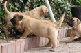/album/nest-a/a293697-503358173014157-91262146-n-jpg/