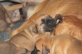 /album/nest-a/a396017-496253930391248-137983138-n-jpg/