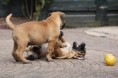 /album/nest-a/a409633-508573432492631-1285380368-n-jpg/