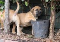 /album/nest-a/a417560-509346119082029-1928441047-n-jpg/