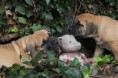 /album/nest-a/a425006-502419413108033-679512966-n-jpg/