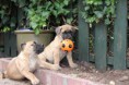 /album/nest-a/a427538-506913359325305-27243073-n-jpg/