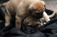 /album/nest-a/a545427-501579906525317-1160779395-n-jpg/