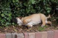 /album/nest-a/a564527-502413789775262-1286573821-n-jpg/