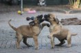 /album/nest-a/a603574-510628655620442-1187439969-n-jpg/