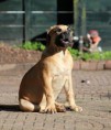 /album/anka/a576844-539242266092414-71217356-n-jpg/