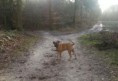/album/nestgenoten/a63619-395913403830758-1295958335-n-jpg/