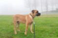 /album/nestgenoten/a703954-378334448917325-1654727993-o-jpg/