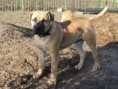 /album/nestgenoten/hugo-jpg/