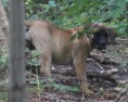 /album/nestgenoten/a560390-2375315999217-780169645-n-jpg/