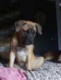 /album/nestgenoten/dsc03551-jpg/
