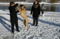 /album/nestgenoten/a240755-383500818400688-1476248798-o-jpg/