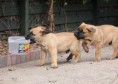 /album/nest-a/a603539-508573619159279-303617802-n-jpg/