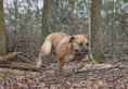 /album/anka/a388526-627001120649861-587701765-n-jpg/