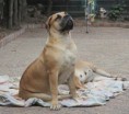 /album/anka/a945772-648432661840040-243792143-n-jpg/