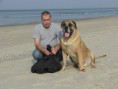 /album/brutus/a333781-297043873658000-882257207-o-jpg/